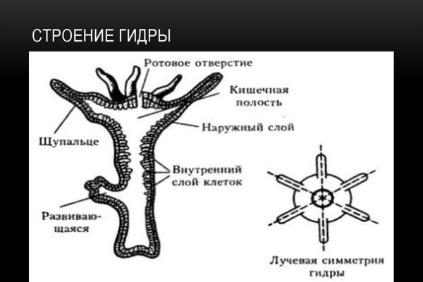 Кракен площадка ссылка