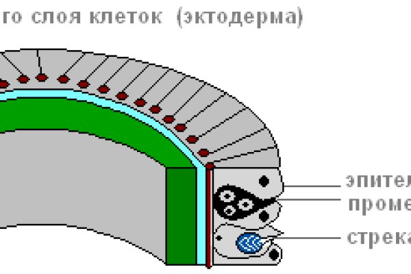 Кракен вход на сайт