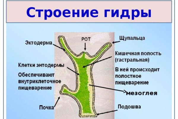 Кракен маркет даркнет только через тор скачать