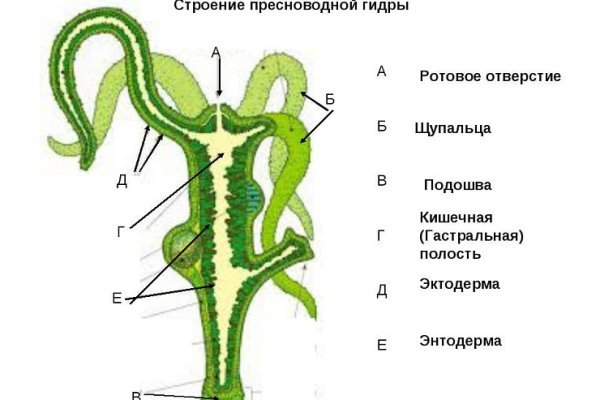 Как найти сайт кракен